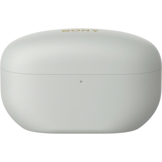 Case für Sony WF-1000XM5 silber