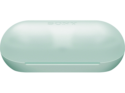 Case für Sony WF-C500 - Quipment Swiss