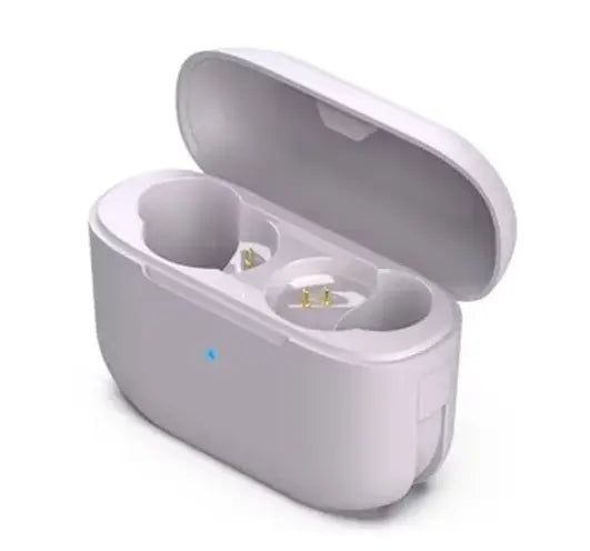 Case für JLab Go Air