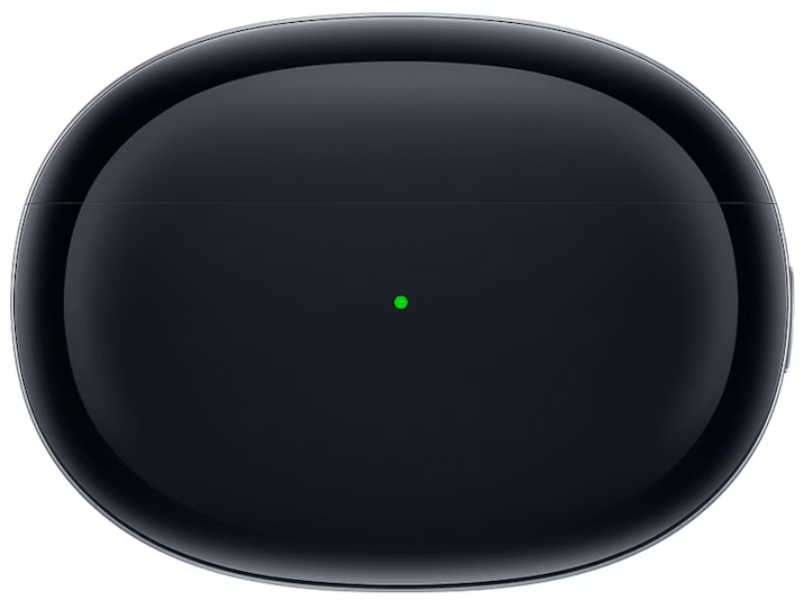 OPPO Enco Free2 Ladecase - Quipment Swiss