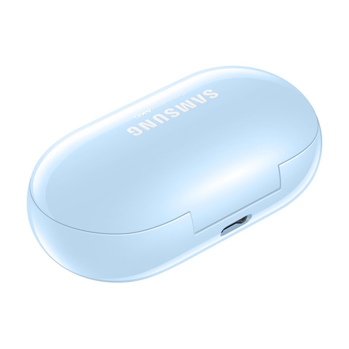 Case für Samsung Galaxy Buds+ (SM-R175) - Quipment Swiss