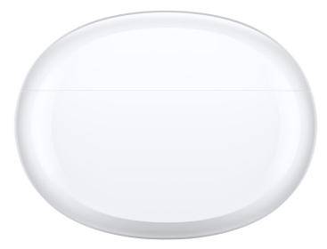 OPPO Enco X2 Ladecase - Quipment Swiss