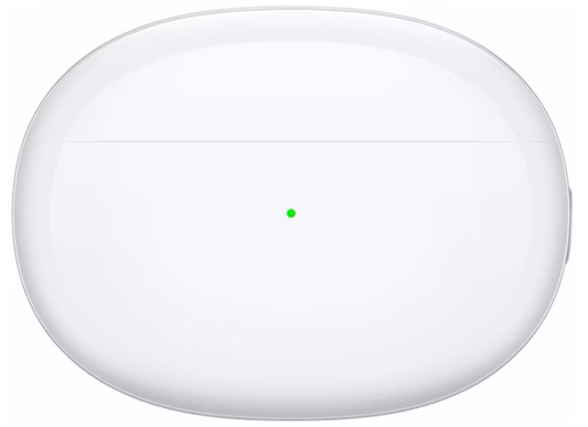OPPO Enco Free2 Ladecase - Quipment Swiss