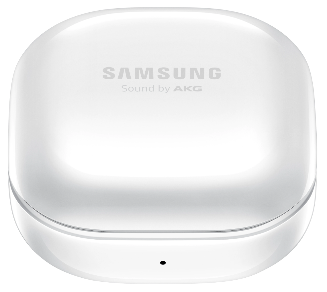 Case für Samsung Galaxy Buds Live (SM-R180) - Quipment Swiss