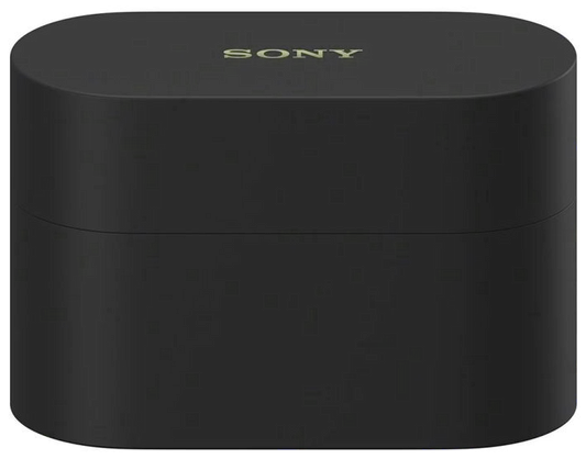 Sony WF-1000XM6 schwarz Case