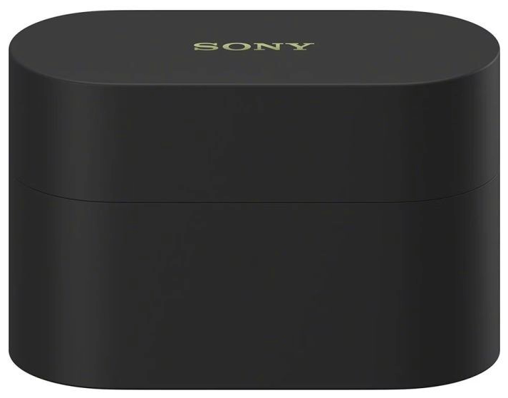 Sony WF-1000XM6 schwarz Case