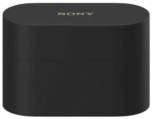 Sony WF-1000XM6 schwarz Case