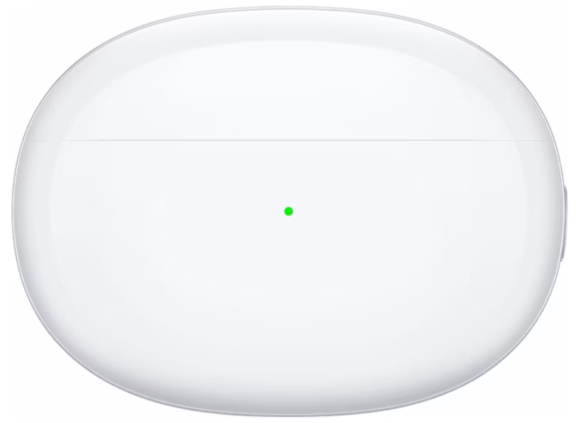 OPPO Enco Free2 Ladecase - Quipment Swiss