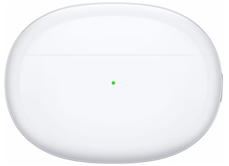 OPPO Enco Free2 Ladecase - Quipment Swiss
