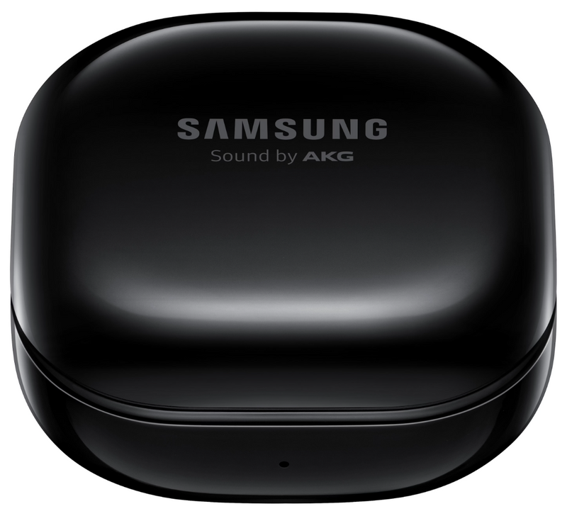 Case für Samsung Galaxy Buds Live (SM-R180) - Quipment Swiss